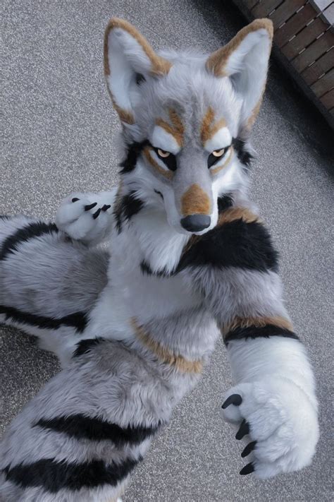 fursuit wolf|realistic wolf fursuit.